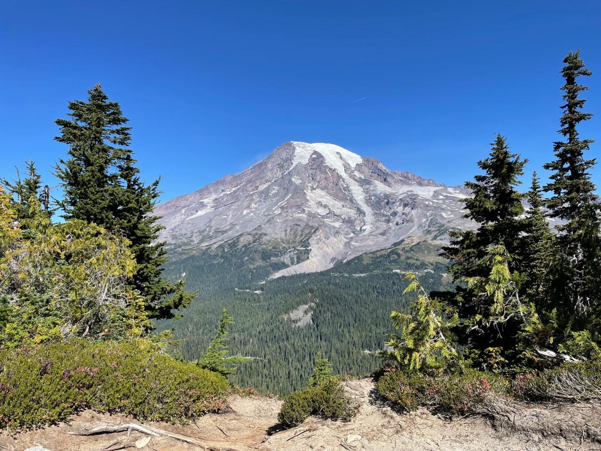 New Modern Cabin! 5Mi To Mt Rainier National Park! Hot Tub & Wifi Ashford Exterior foto